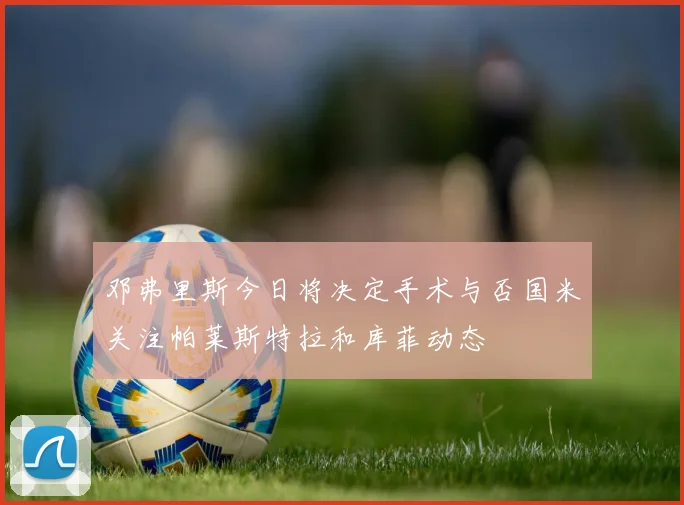 邓弗里斯今日将决定手术与否国米关注帕莱斯特拉和库菲动态