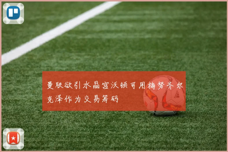 曼联欲引水晶宫沃顿可用梅努齐尔克泽作为交易筹码