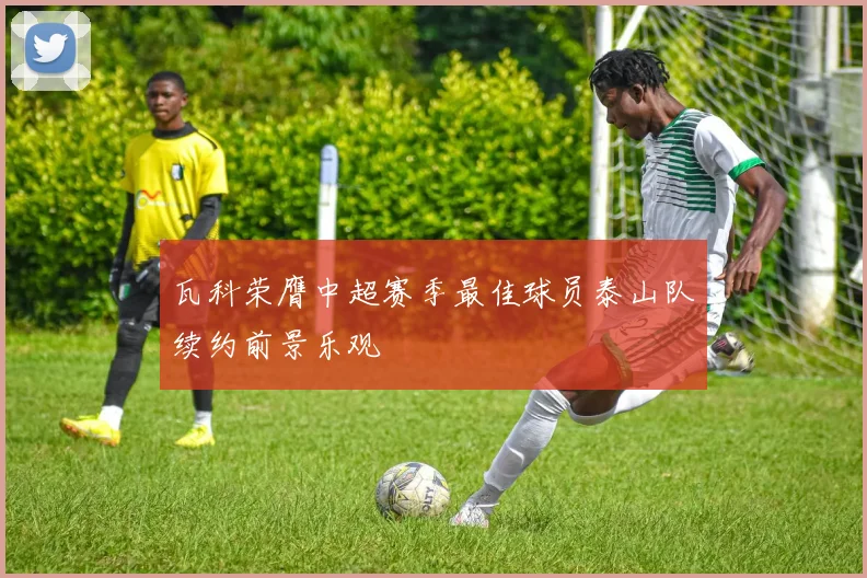 瓦科荣膺中超赛季最佳球员泰山队续约前景乐观