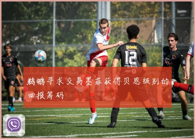 鹈鹕寻求交易墨菲获得贝恩级别的回报筹码